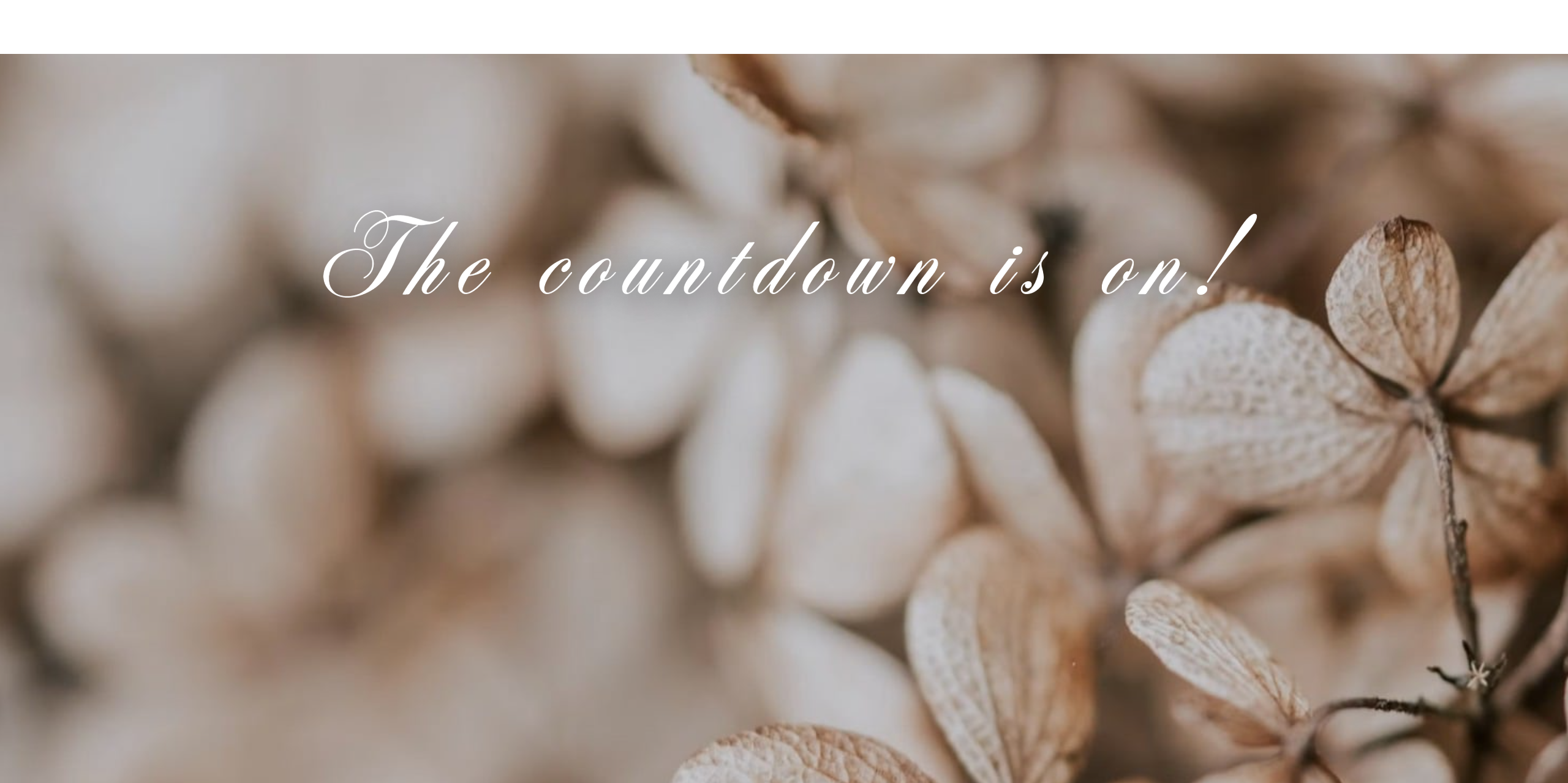 The countdown is on!